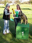 Sonderpreis " &Auml;ltester Hund "